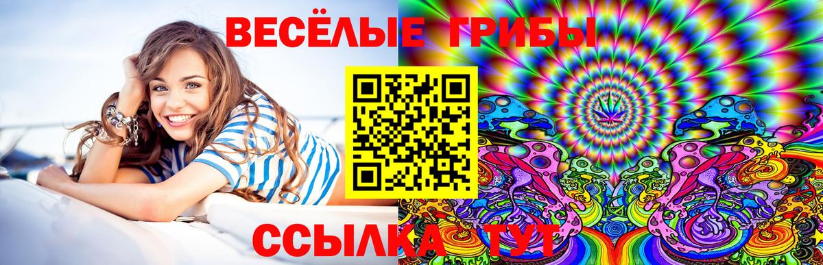 Саров  Псилоцибиновые грибы Magic Shrooms  Псилоцибиновые грибы мухоморы  Вход с VPN 