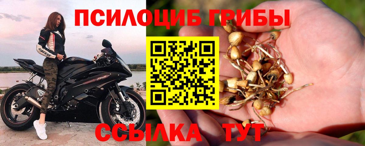 Псилоцибиновые грибы мухоморы Саров